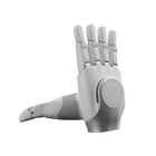 AgiBot OmniHand 2025 Tactile Roboterhand (rechts)