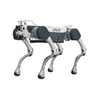 Perro robot cuadrúpedo industrial Deep Robotics X30