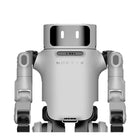 Noetix Dora universele humanoïde robot
