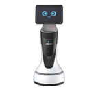 OrionStar GreetingBot Mini Kompakter KI-Empfangsroboter