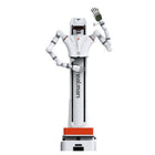 Realman DAP-D-65 Piattaforma di sviluppo di IA incarnata a doppio braccio