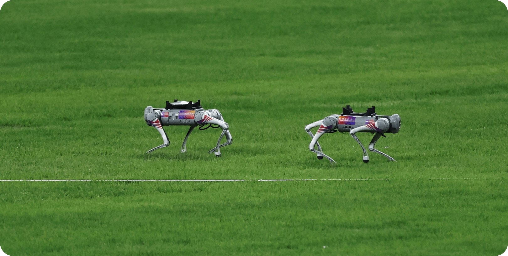 Unitree Robotics Go2 Edu Standard - Image 1