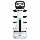 Alpha Panda Lieferroboter