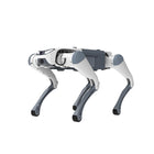 Deep Robotics Lite3 Basic Dört Ayaklı Robot Köpek