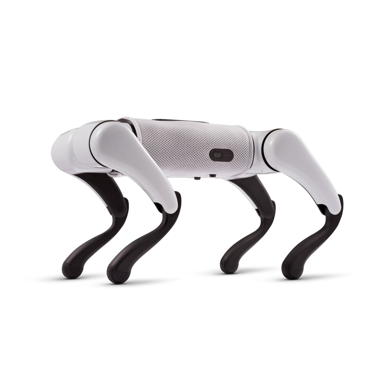 FX Navi Quadruped Robot