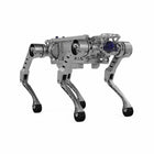 MirrorMe Black Panther X open vierpotige robot van industriële kwaliteit